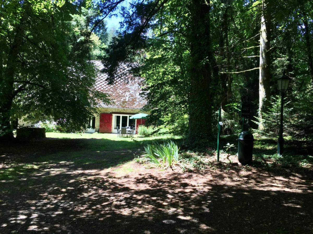 Saint-Julien-aux-Bois Gites Chateau Le Bois מראה חיצוני תמונה