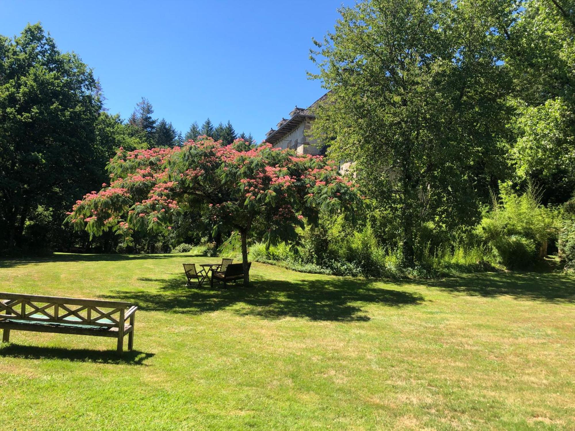 Saint-Julien-aux-Bois Gites Chateau Le Bois מראה חיצוני תמונה