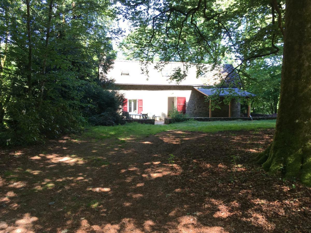 Saint-Julien-aux-Bois Gites Chateau Le Bois מראה חיצוני תמונה