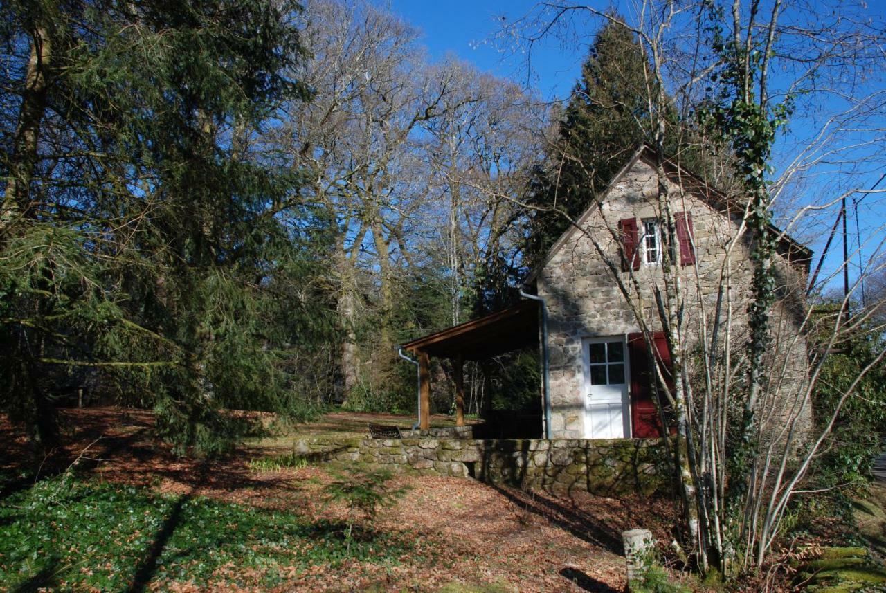 Saint-Julien-aux-Bois Gites Chateau Le Bois מראה חיצוני תמונה